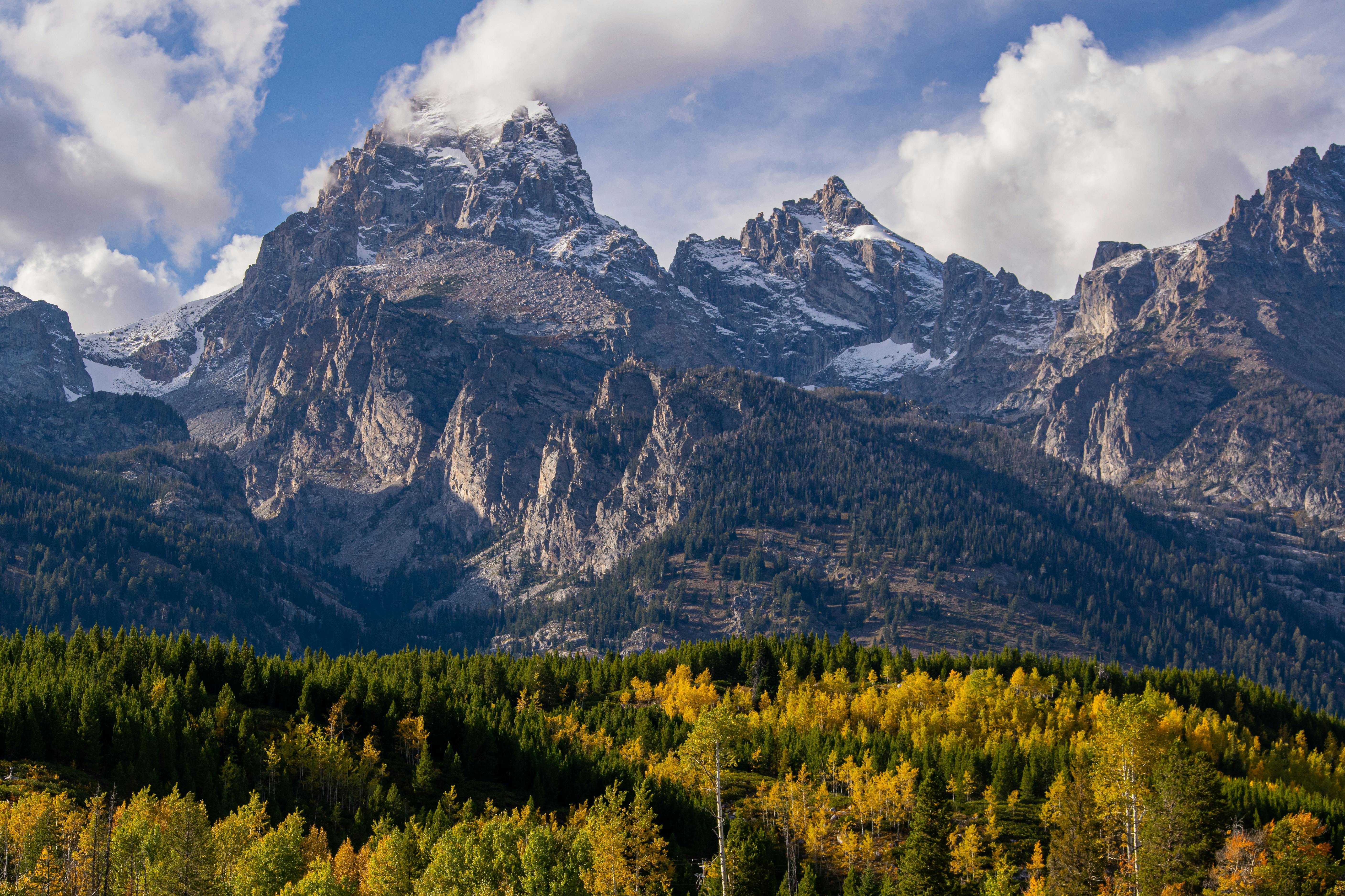 Natural landscape